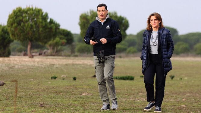 Juanma Moreno y Teresa Ribera, en una visita a Doñana.