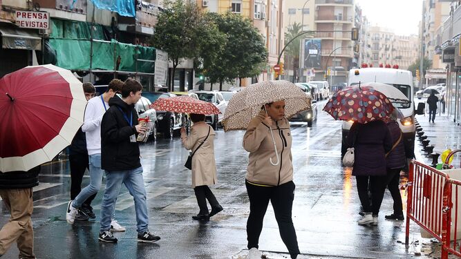 Ciudadanos con paraguas.