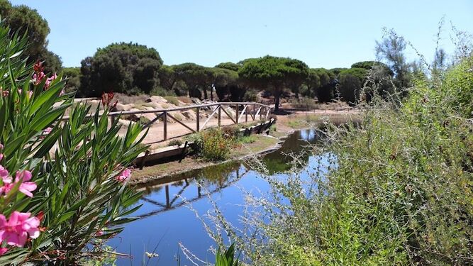 Planes con niños: Una yincana en el jardín desconocido más bonito de Huelva