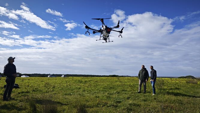 Cartaya estudia el uso de drones con tecnología sostenible para combatir las plagas agrícolas de la localidad