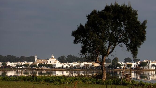 Imagen de archivo del entorno de Doñana.
