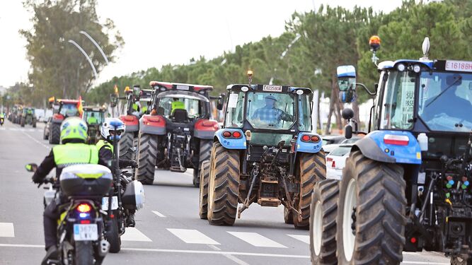 El campo de Huelva se echa a la calle este lunes: 5.000 personas cortarán las carreteras por las mejoras del sector