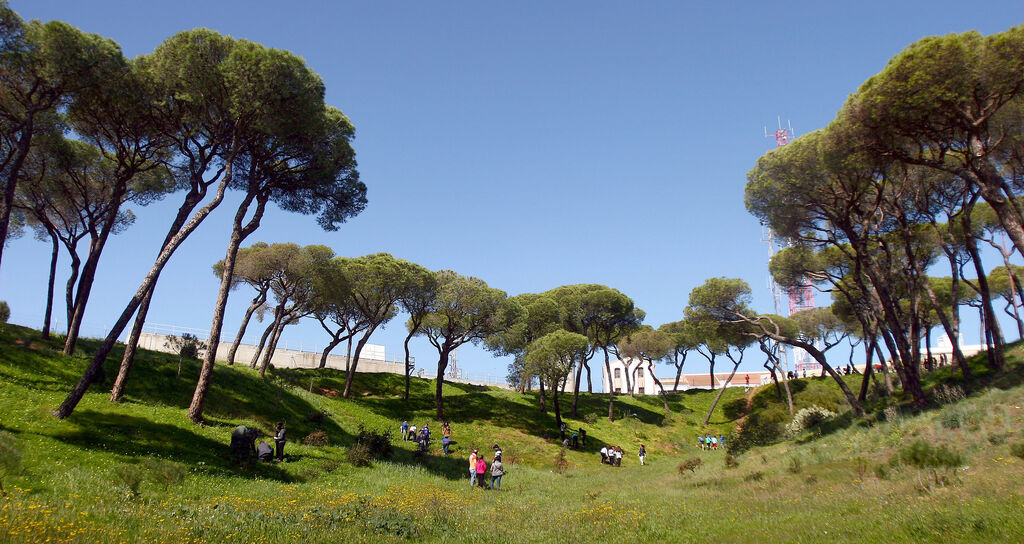 As&iacute; es el pulm&oacute;n verde de Huelva, el parque urbano m&aacute;s grande de Andaluc&iacute;a