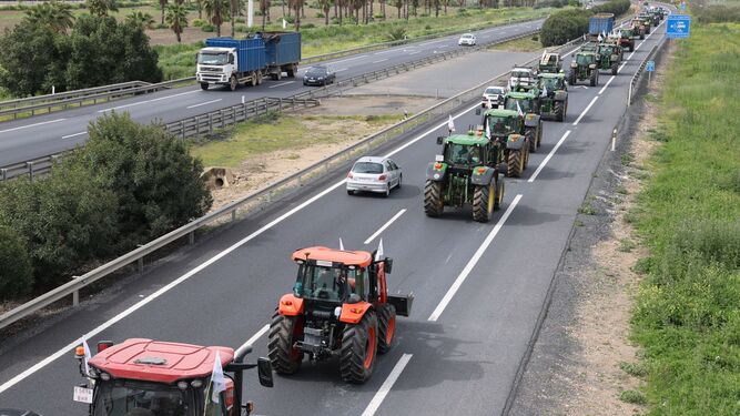 La manifestación de los agricultores en directo: una larga hilera de tractores ya recorre la A-49.