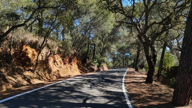 La carretera Cortegana-Aracena