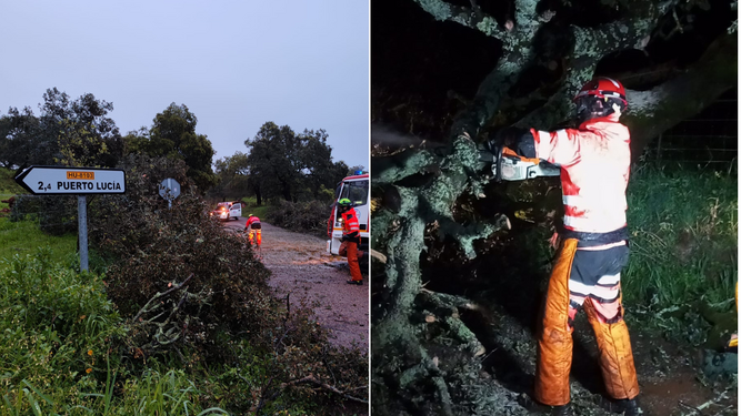 Daños del temporal en Huelva: cae una encina y corta durante cinco horas una carretera de la Sierra