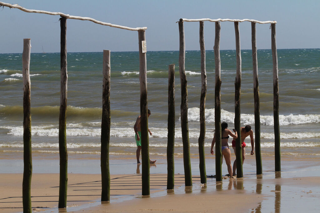 &iquest;Sab&iacute;as para qu&eacute; sirven estos palos y en qu&eacute; playa de Huelva est&aacute;n?
