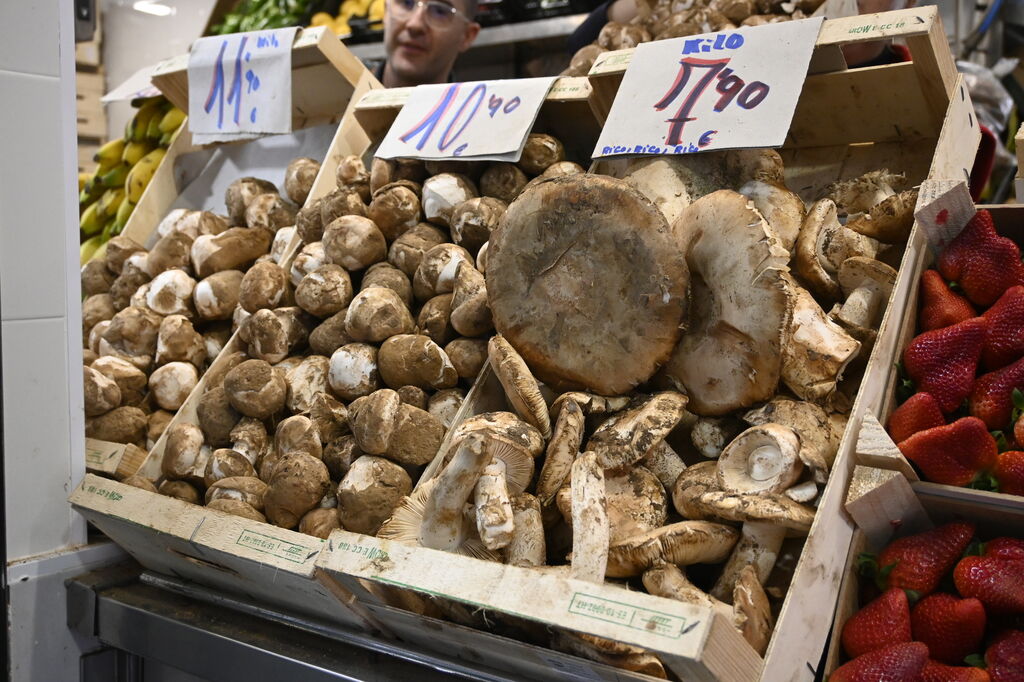 Los gurumelos se multiplican y arrasan en el mercado de Huelva,  las mejores im&aacute;genes