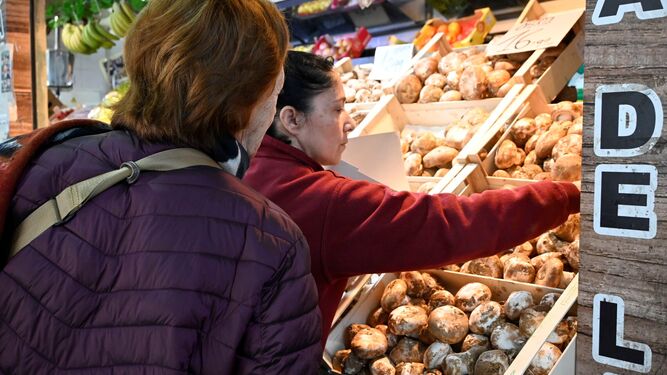 Una mujer compra gurumelos en el Mercado del Carmen