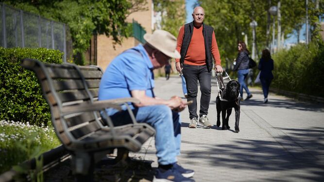 Una persona ciega con un perro guía.