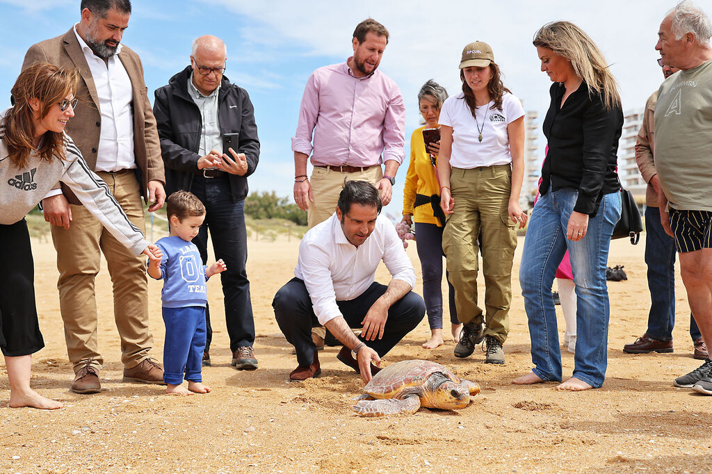 Im&aacute;genes de la suelta de una tortuga marina boba recuperada en el CEGMA de Algeciras